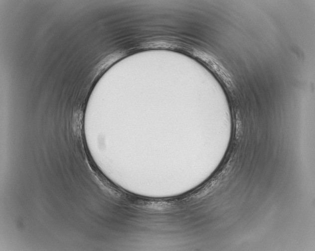 X0000115021233200912071020