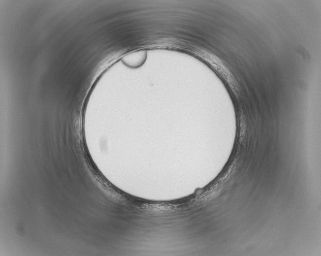 X0000115021234200912071020