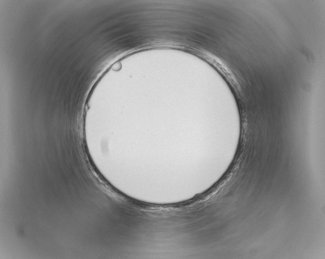 X0000115021236200912071020