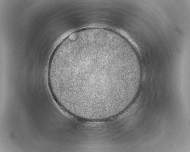 X0000115021237200912071021