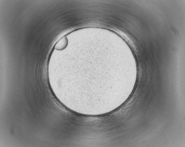 X0000115021238200912071021