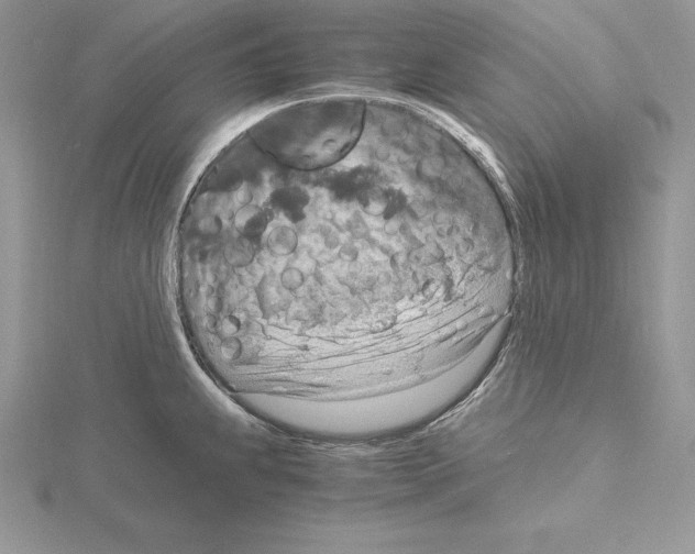 X0000115021239200912071021