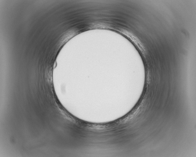 X0000115021241200912071021