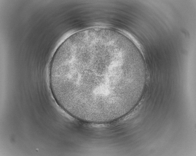 X0000115021243200912071021