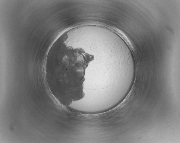 X0000115021244200912071021