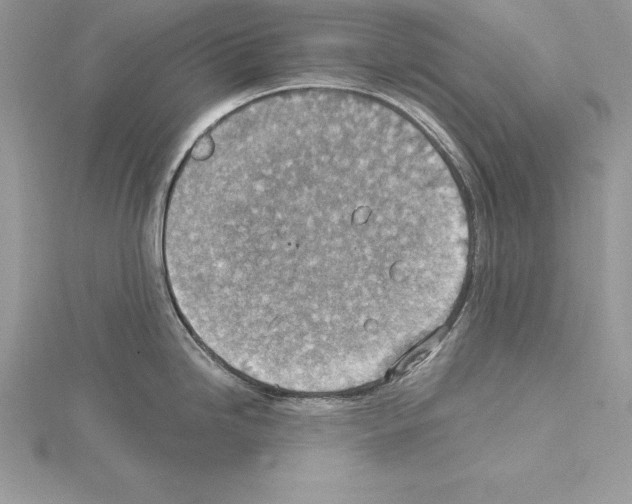 X0000115021246200912071021