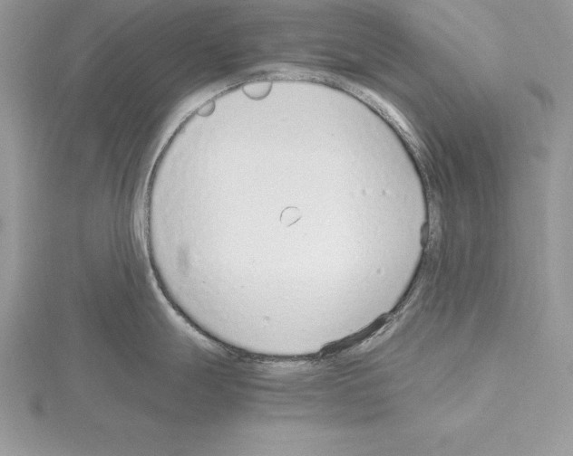 X0000115021247200912071021