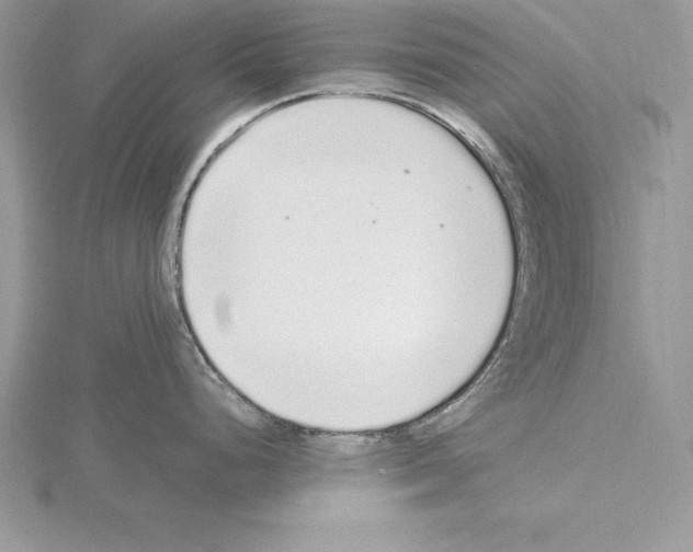 X0000115021248200912071021