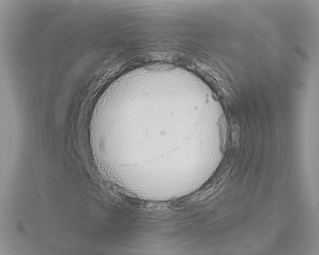 X0000115021249200912071020