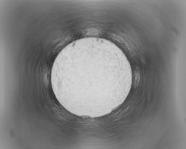 X0000115021250200912071020