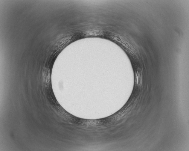 X0000115021251200912071020