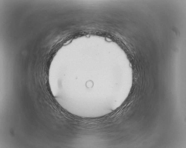 X0000115021253200912071020