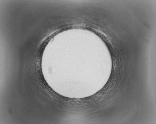 X0000115021255200912071020