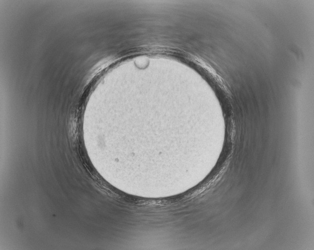 X0000115021259200912071020