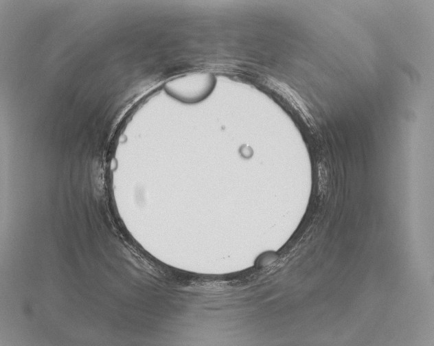 X0000115021260200912071020