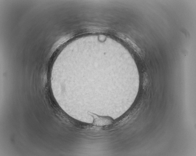 X0000115021261200912071020