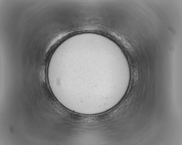 X0000115021262200912071020