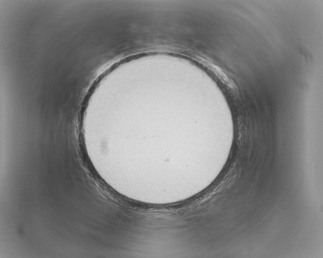 X0000115021264200912071020