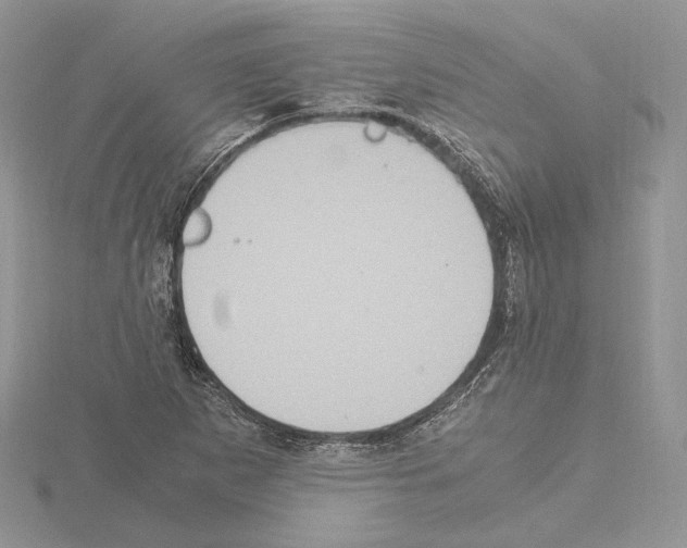 X0000115021265200912071020