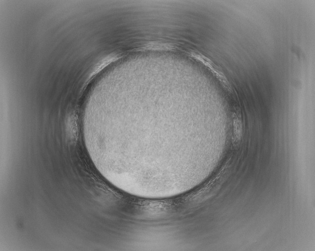 X0000115021266200912071020