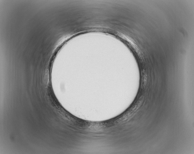 X0000115021267200912071020