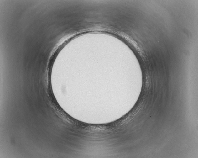 X0000115021270200912071020