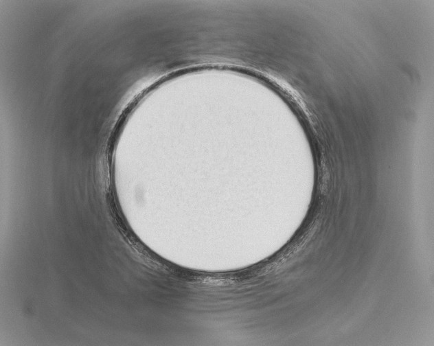 X0000115021271200912071020