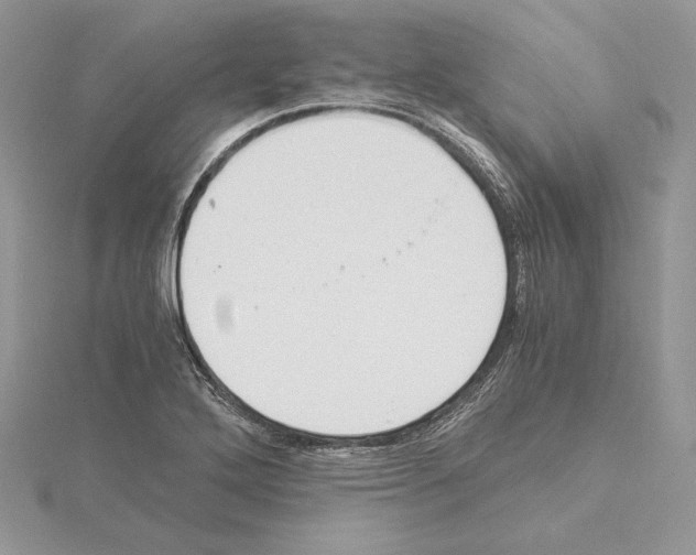 X0000115021272200912071020