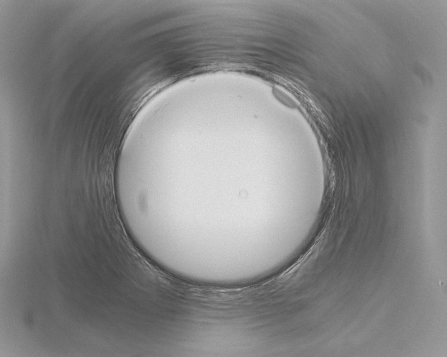 X0000115021273200912071020