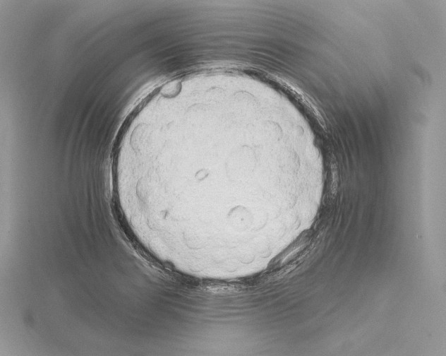 X0000115021274200912071019