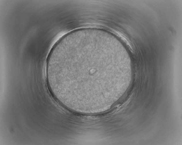 X0000115021275200912071019