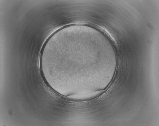 X0000115021276200912071019