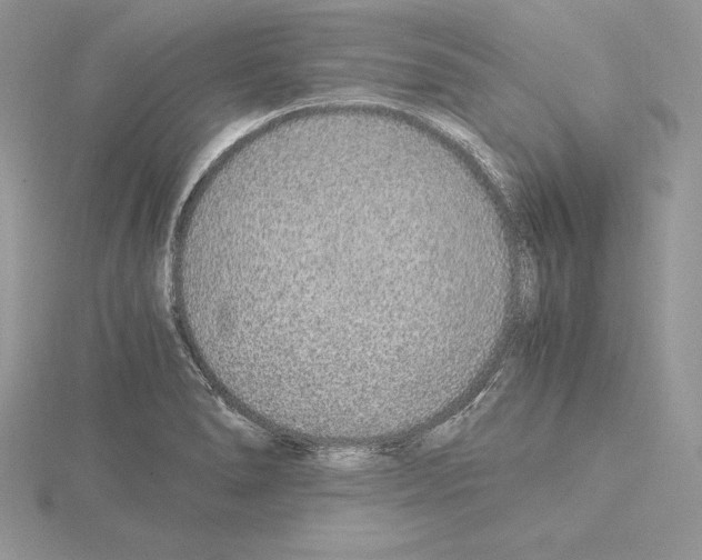 X0000115021278200912071019