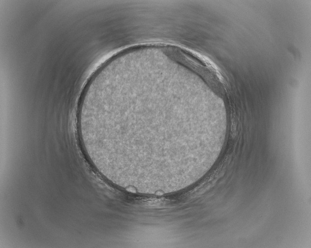 X0000115021279200912071019