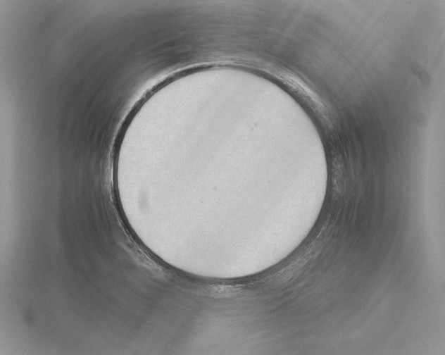 X0000115021280200912071019