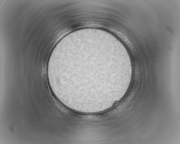 X0000115021281200912071019