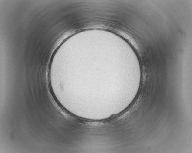 X0000115021282200912071019