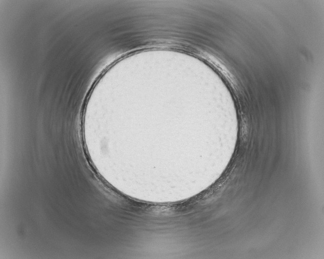 X0000115021283200912071019