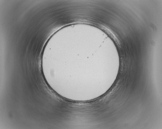 X0000115021284200912071019