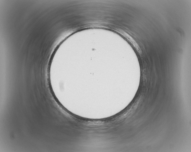 X0000115021285200912071019