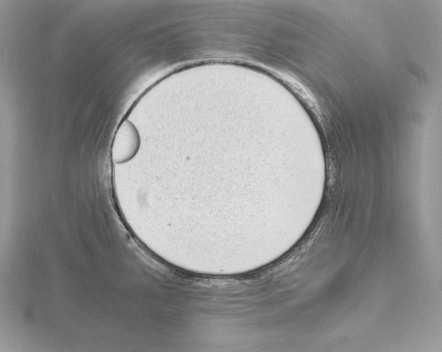 X0000115021287200912071019