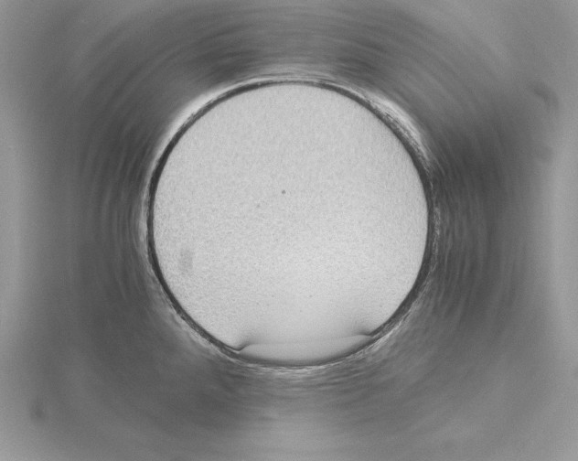 X0000115021288200912071019