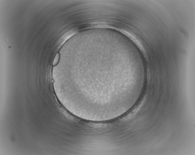 X0000115021289200912071019