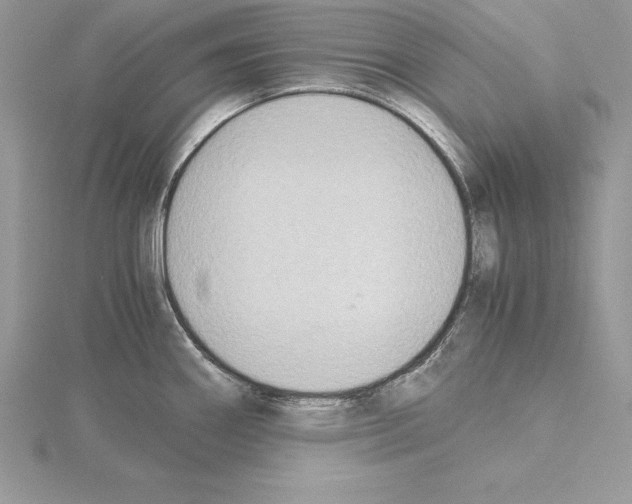 X0000115021290200912071019