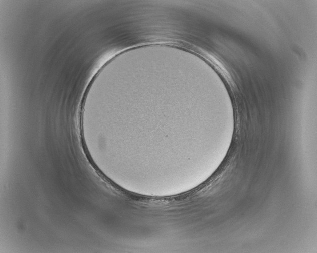 X0000115021291200912071019