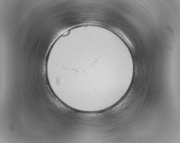 X0000115021292200912071019