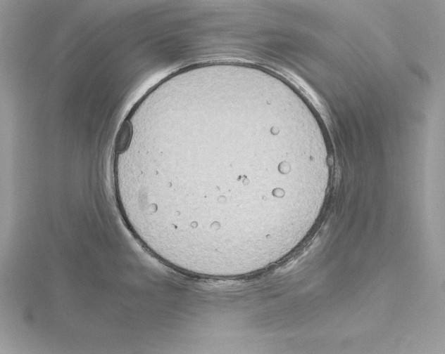 X0000115021293200912071019