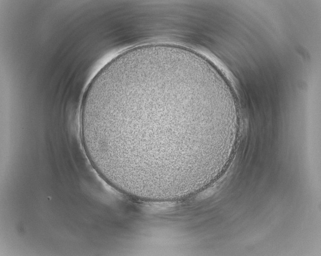 X0000115021294200912071019