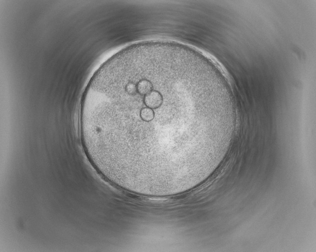 X0000115021295200912071019