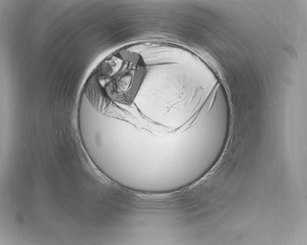 X0000115021296200912071019